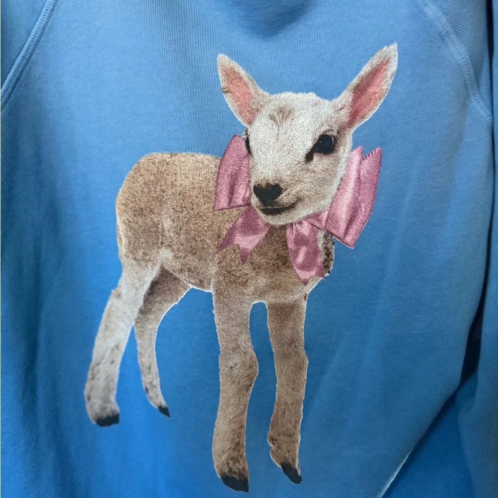 Wildfox Little Lamb pullover - Picture 2 of 3